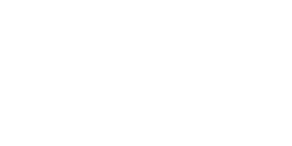 에이스 넷 logo